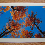 pics website 034